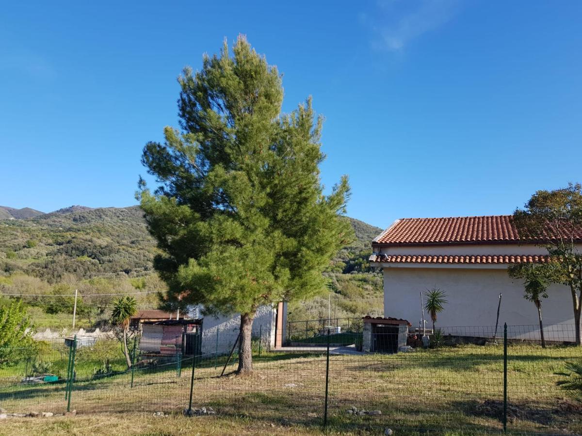 Villetta Nel Verde Ascea Exterior foto